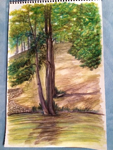 Smith lake